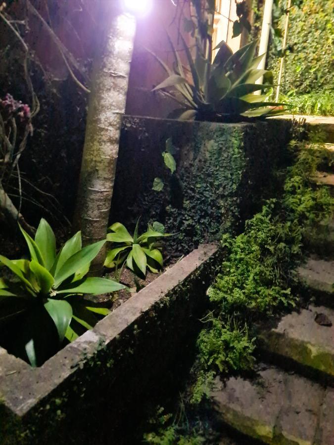 招待所 Violeta Petropolis (Rio de Janeiro)