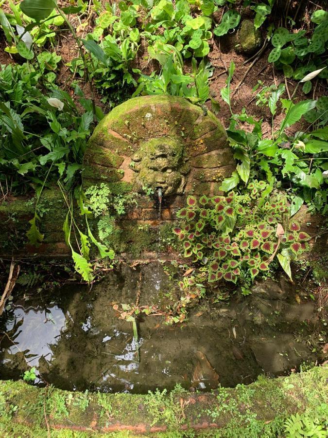 Violeta 招待所 Petropolis (Rio de Janeiro)