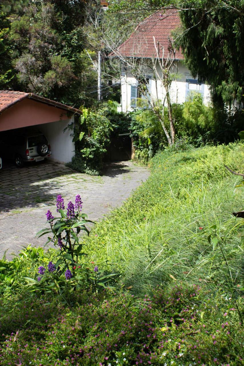 Violeta Petropolis (Rio de Janeiro)